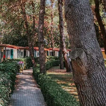 Borgo Mulino D'acqua Campingplads